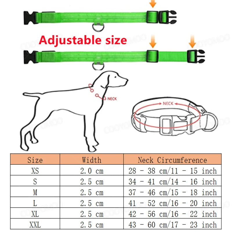 Pet Collar that Glows in the Dark