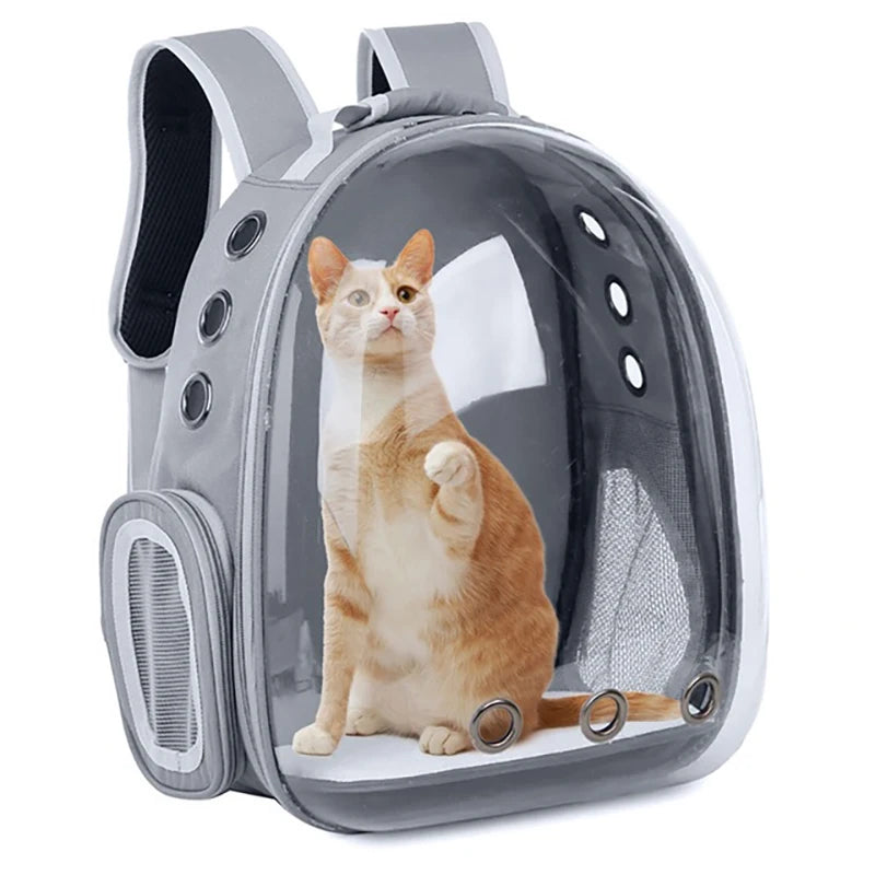 Pet Backpack