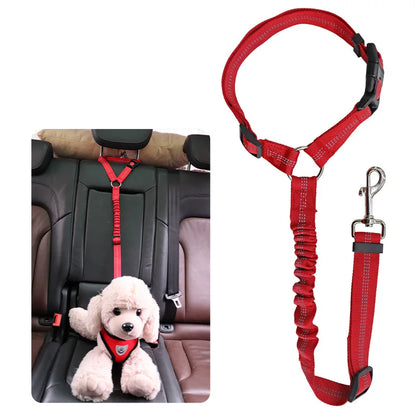 Dog Seat Belt