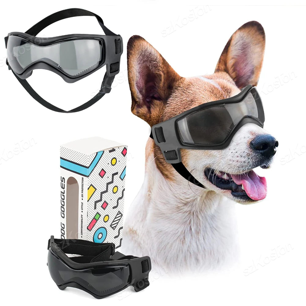 Protective Glasses for Dogs